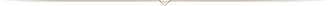 Trennlinie.png