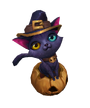 Pumpkin Cat