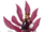 Ahri Popstar-Ahri (Rubin) M.png