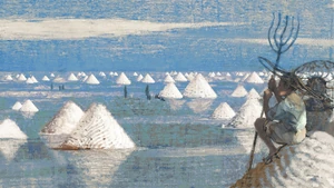 Salt Farms