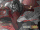 Galio Mythmaker Splash Concept 02.gif