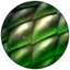 Iron Skin rune