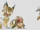 Gnar Concept 07.jpg