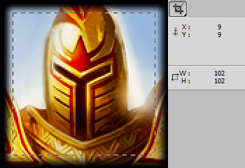 forum remove vignettes from champion