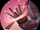 07IO043T1-full.png
