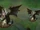 High Noon 2018 Ward Concept 01.jpg