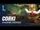 Corki Champion Overview - Gameplay - League of Legends- Wild Rift