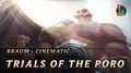 Braum Trials of the Poro New Champion Teaser - League of Legends