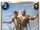 Верный вассал (Legends of Runeterra)