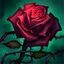 BeschwörersymbolRose.jpg (9 KB)