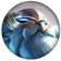 Gragas WardenCircle