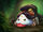 Nidalee Poro.jpg