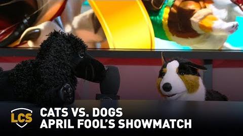 Katzen gegen Hunde (Video) League of Legends Wiki Fandom