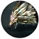 Anivia BirdofPreyCircle