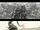 Garen Katarina EnemyofmyEnemy Cinematic concept 52.jpg