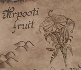 Nirpooti Fruit