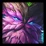 Ornn ElderwoodSquare