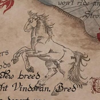 A drawing of a Light Vindoran Horse.