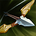 Recurve Bow TFT item