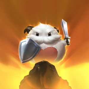 Защитник поро