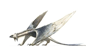 A Silverwing Raptor