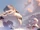 01FR053-hd-full.jpg