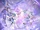 Crystal Rose 2023 WR Promo 02.jpg