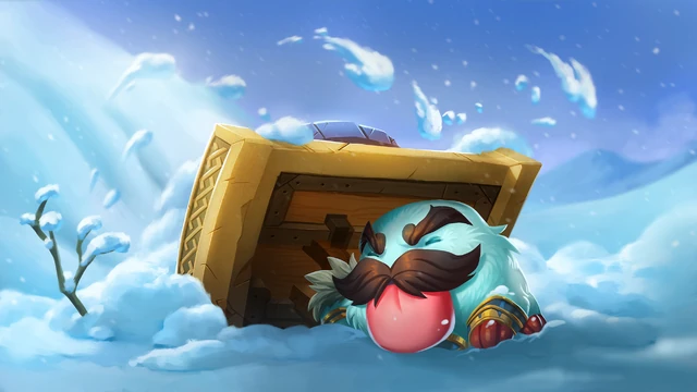 Braum Poro