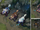 Summoner's Rift Update Creature Wolves.png