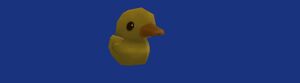 Sru Duckies model