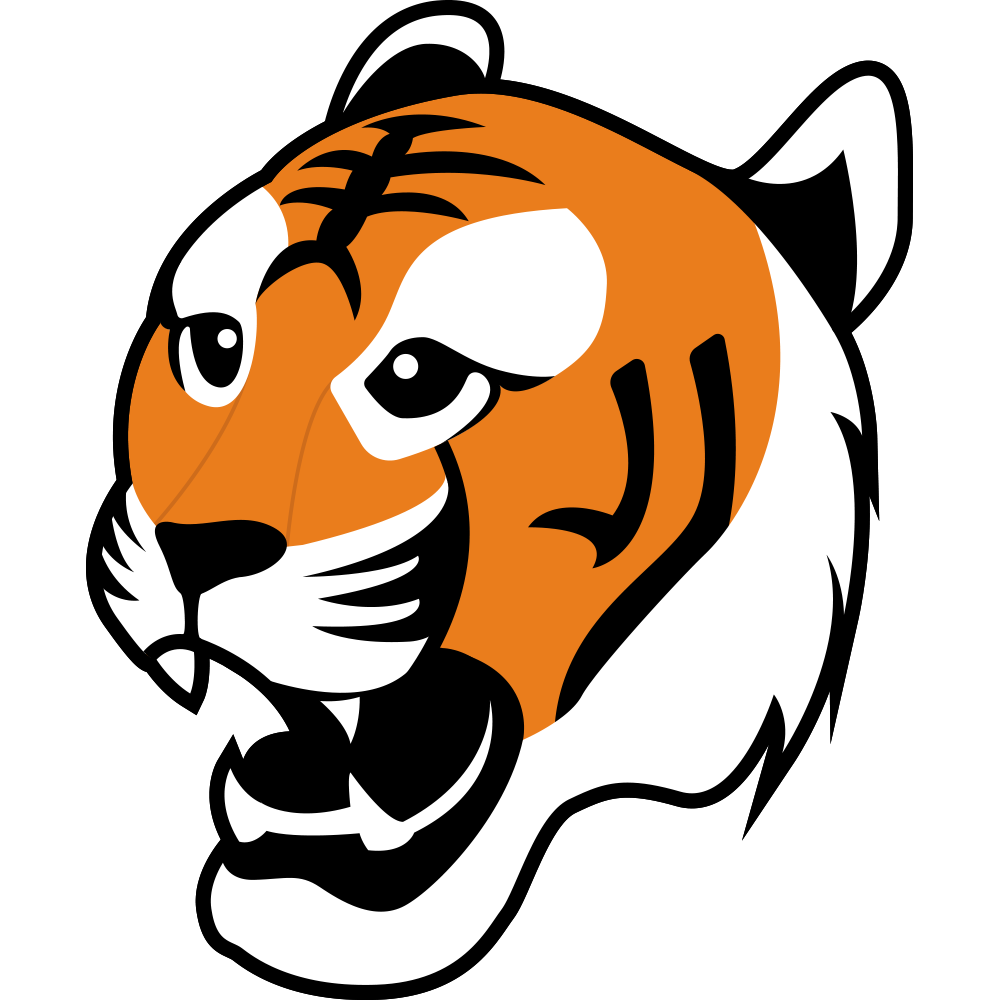 Massillon Tigers | Lake Erie Amateur Hockey Association Wiki | Fandom