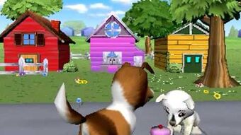 Pet pals place new arrivals