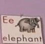 LeapFrog Pachyderm.jpg