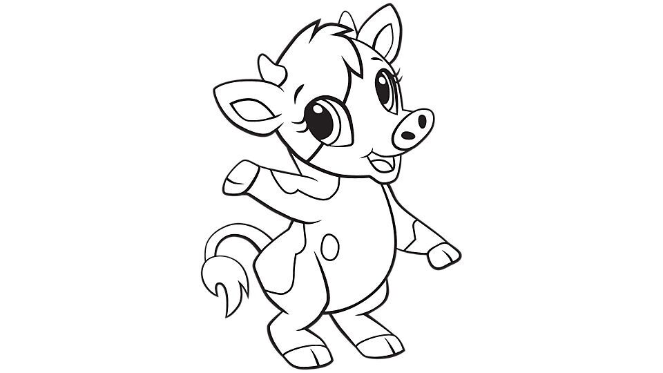 Cow.jpg