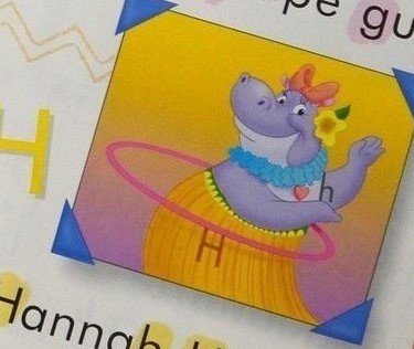 Hannah Hippopotamus.jpg