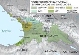 Kartevelian languages 