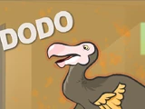 Dodo