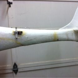Le fish rc glider clearance