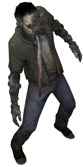 340?cb=20101024005703