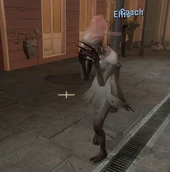 The Witch Bride during the daylight, obtained via server-side mods.