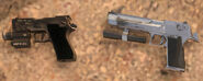 The P220 Pistol (left) next to the Magnum (right).