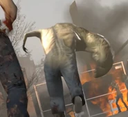 Снимок со спины громилы