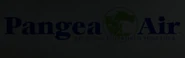 Pangea Air logo, another airline that operates at Metro International Airport