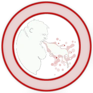 Pz charge boomer.png (51 KB) Boomer ability icon in Versus.