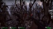 L4d farm05 cornfield0001