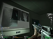 The x-ray easter eggs