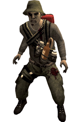 FallenSurvivor