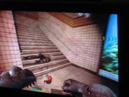 Showdown10.jpg (91 KB) The Boomer's view in Versus mode.