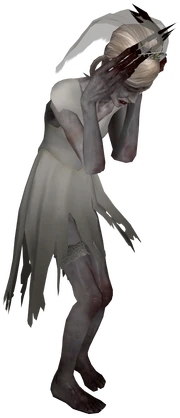 A Bride Wandering Witch from 