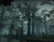 Left4dead2 swamp village